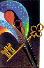 Le Blog de Matt - Déménagement, la suite