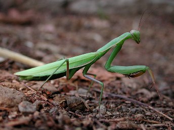 Le Blog de Matt - Non, la photo n'est pas de moi