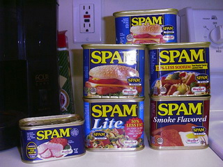 Le Blog de Matt - Splog (spam + blog), je te hais !