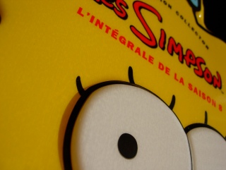 Le Blog de Matt - Les Simpsons, intégrale de la saison 8