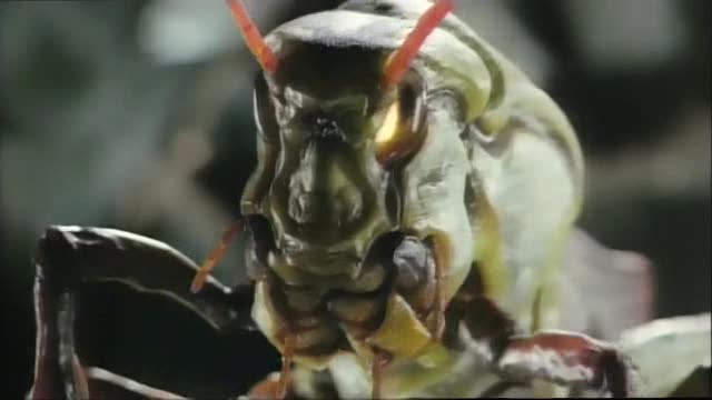 Kamen Rider Zo - Mmm, une bonne grosse sauterelle mutante...